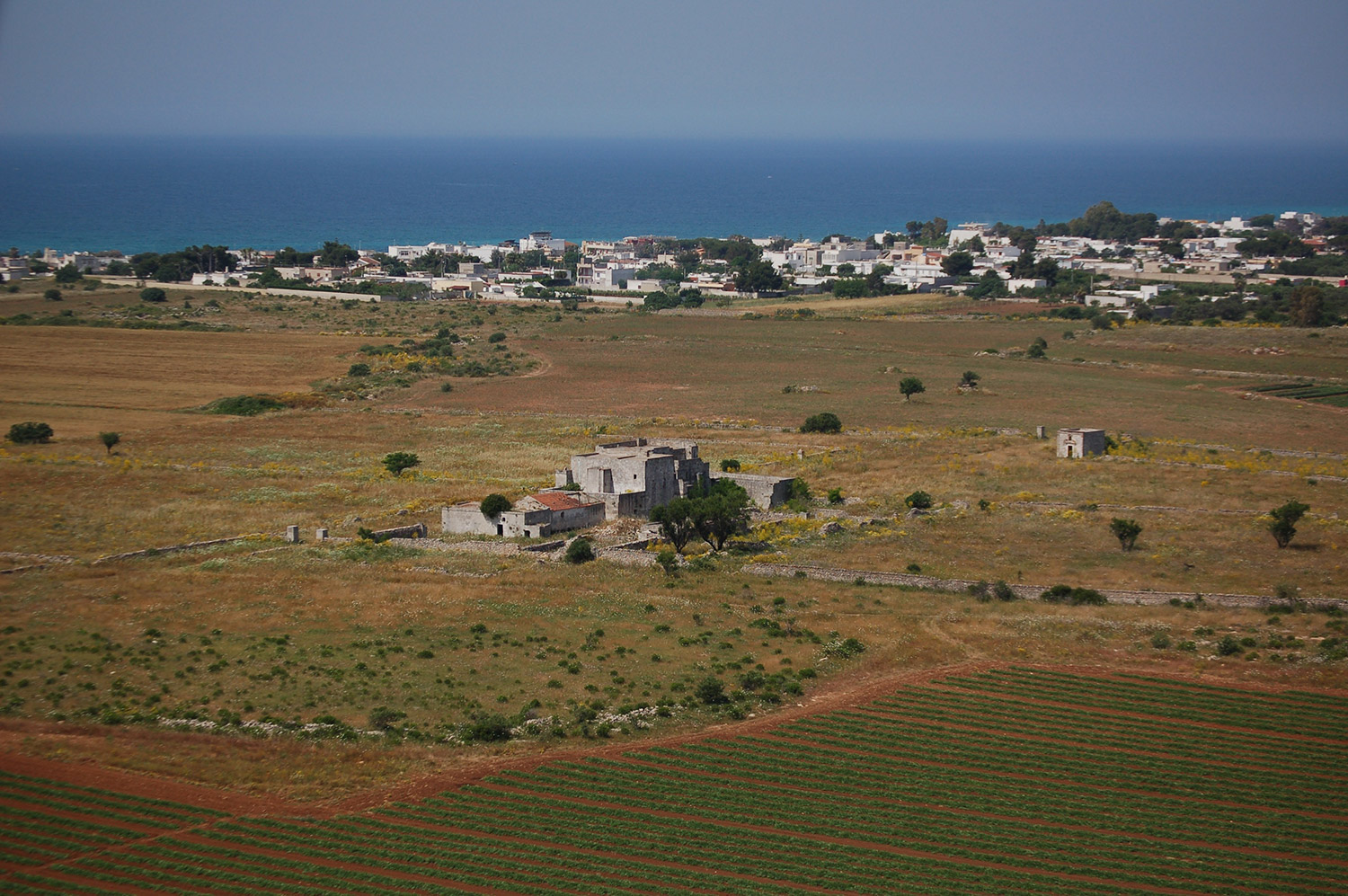 Progetto Samia