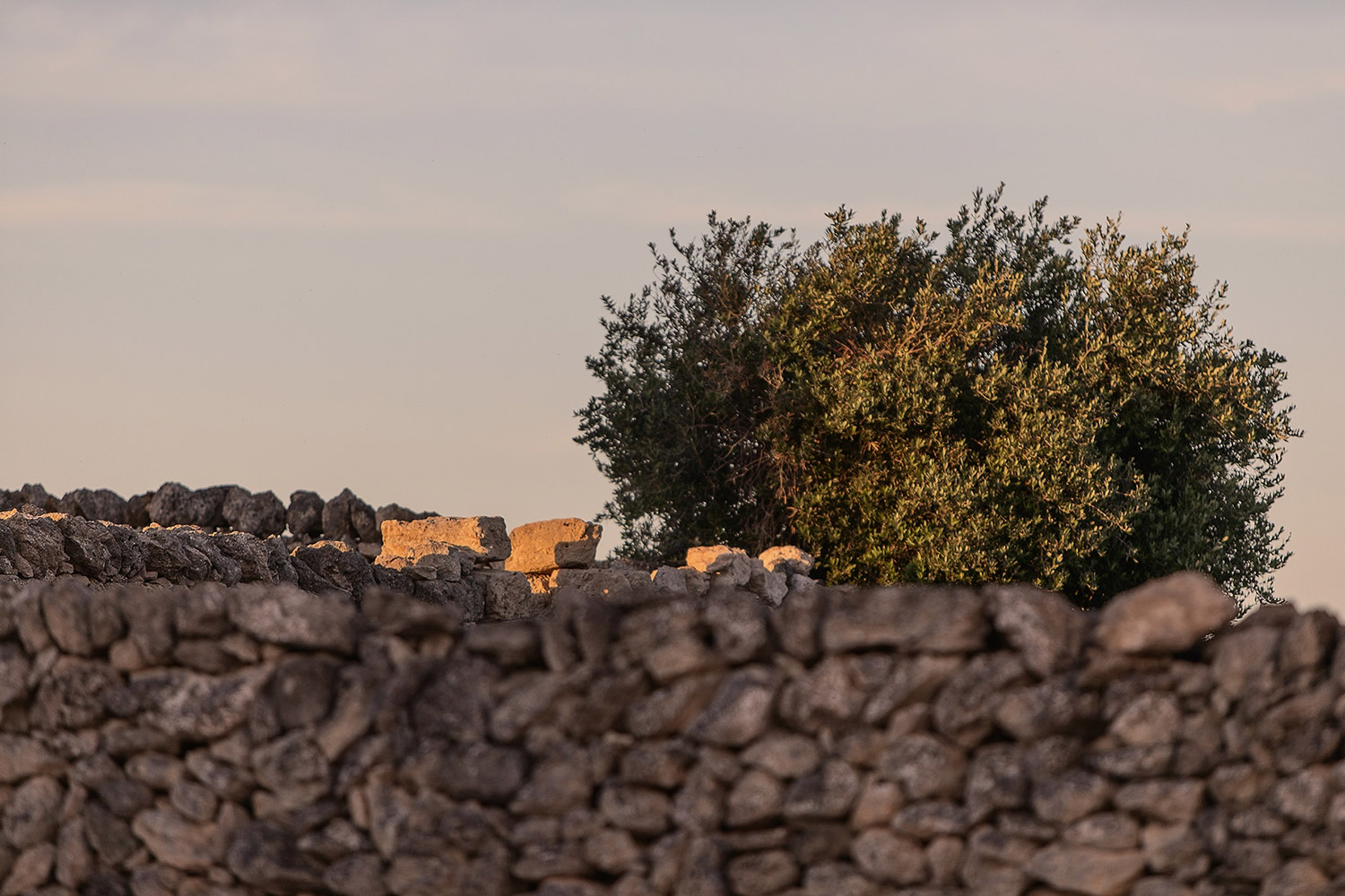 Paesaggio Samia