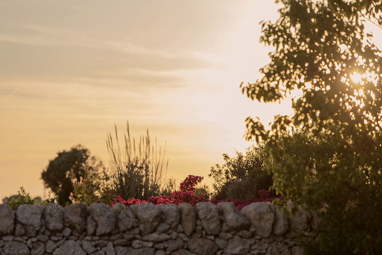 Trulli Samia